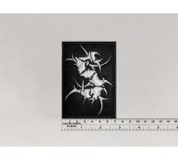 Нашивка Sepultura