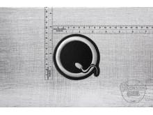 Нашивка Queens of the Stone Age