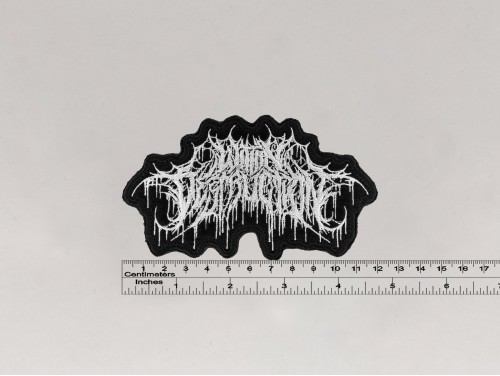 Нашивка Within Destruction