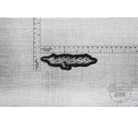 Нашивка Carcass