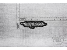 Нашивка Carcass