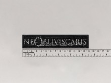 Нашивка Ne Obliviscaris