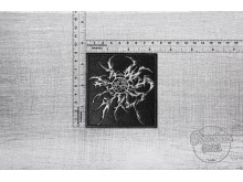 Нашивка Kataklysm