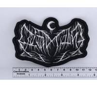 Нашивка Leviathan