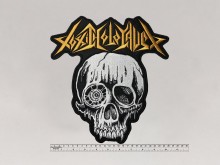 Большая нашивка Toxic Holocaust