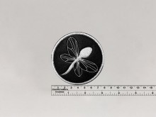 Нашивка Пионерлагерь 