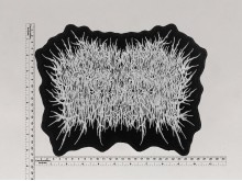 Большая нашивка Xavlegbmaofffassssitimiwoamndutroabcwapwaeiippohfffx