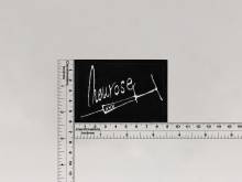 Нашивка Neurosexxx